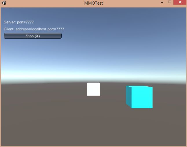 Aperçu du MMO sous Unity